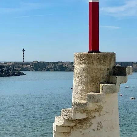 Estrela Do Mar *