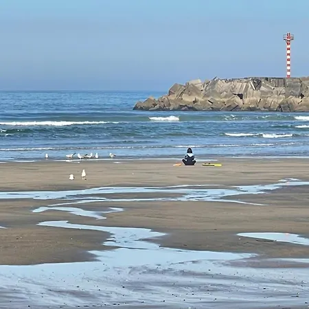 Estrela Do Mar *