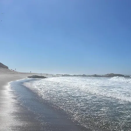 Estrela Do Mar *